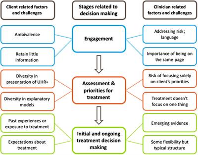 Shared Decision Making With Young People at Ultra High Risk of Psychotic Disorder